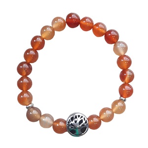 Dames armband Agaat 8 mm met Tree of life kraal